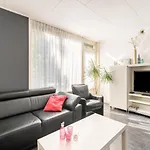 Inviting Holiday Home In Baarland With Terrace